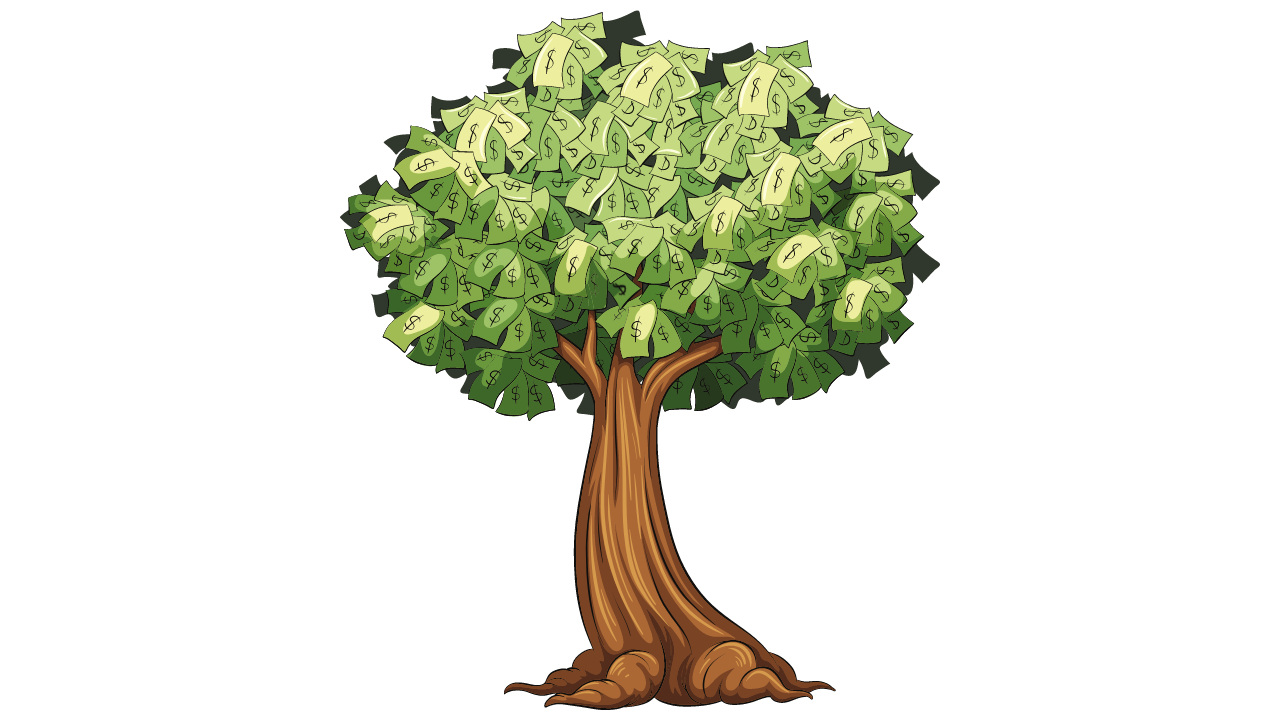 Money Tree - 2